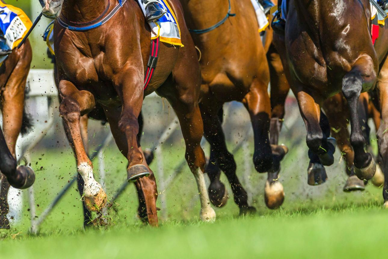 The Track Beneath the Hooves: Why Racing Conditions Matter