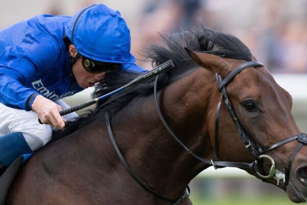 The Jockey’s Craft Beyond the Finish Line