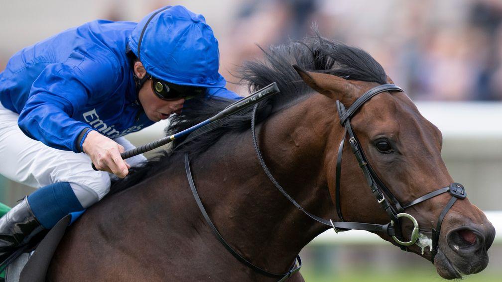 The Jockey’s Craft Beyond the Finish Line