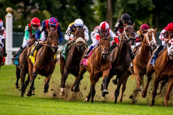 Global Horse Racing: One Sport, Many Traditions