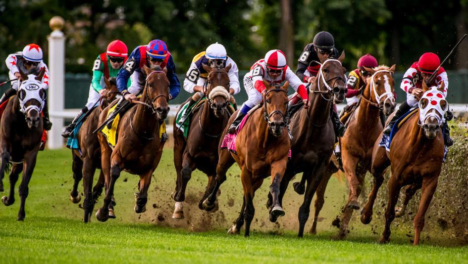 Global Horse Racing: One Sport, Many Traditions