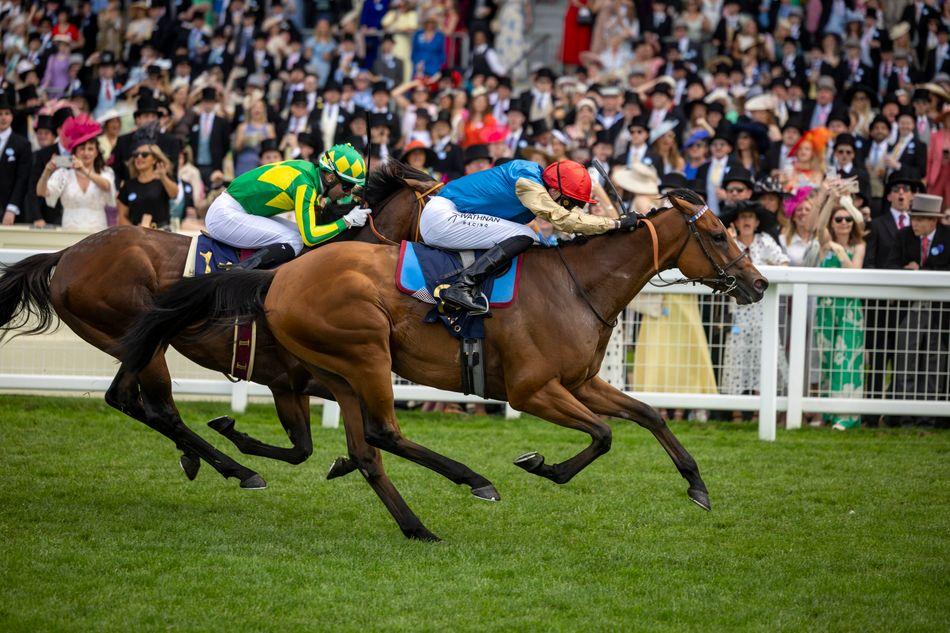 Sprint, Mile or Staying Race? How Distance Shapes the Contest
